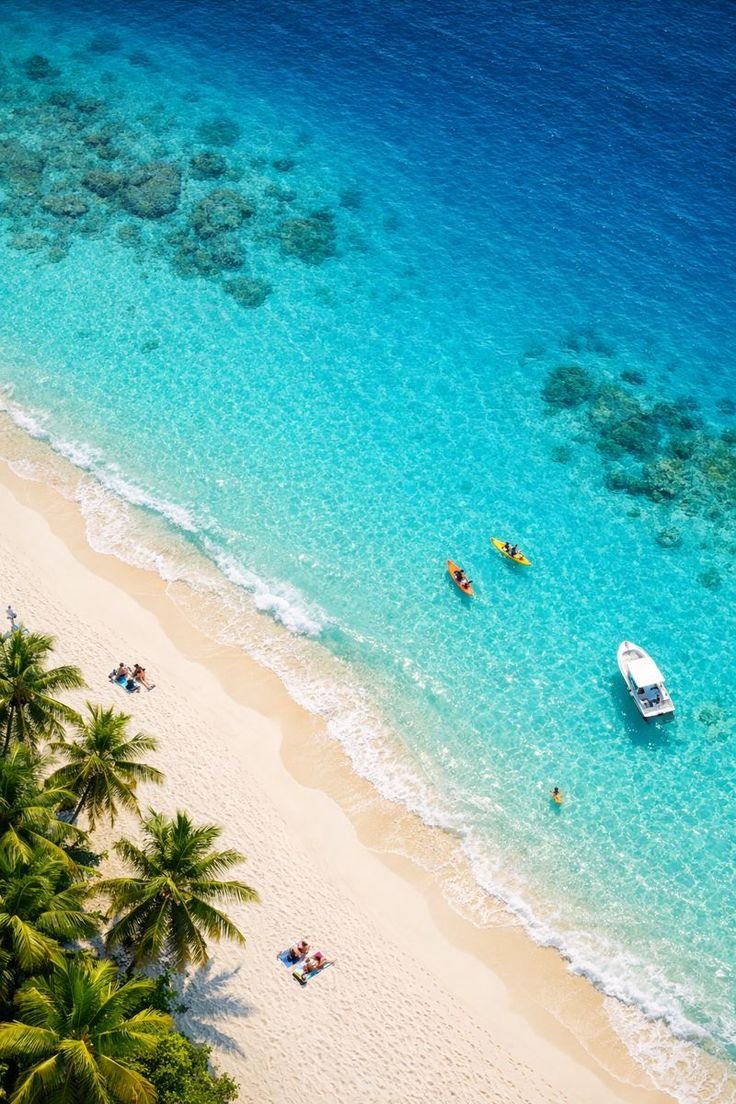 Tropical Holiday